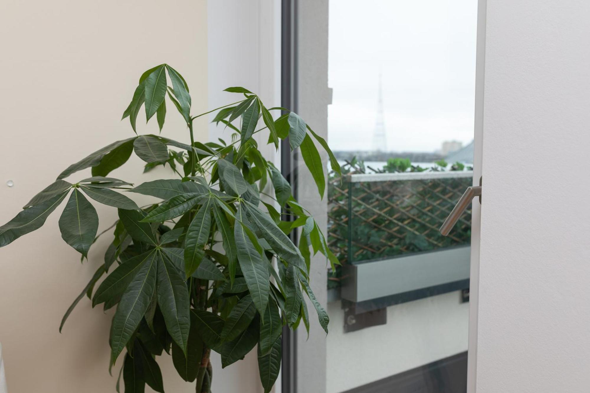 Full House - Penthouse Mit Dachterrasse K85 *
